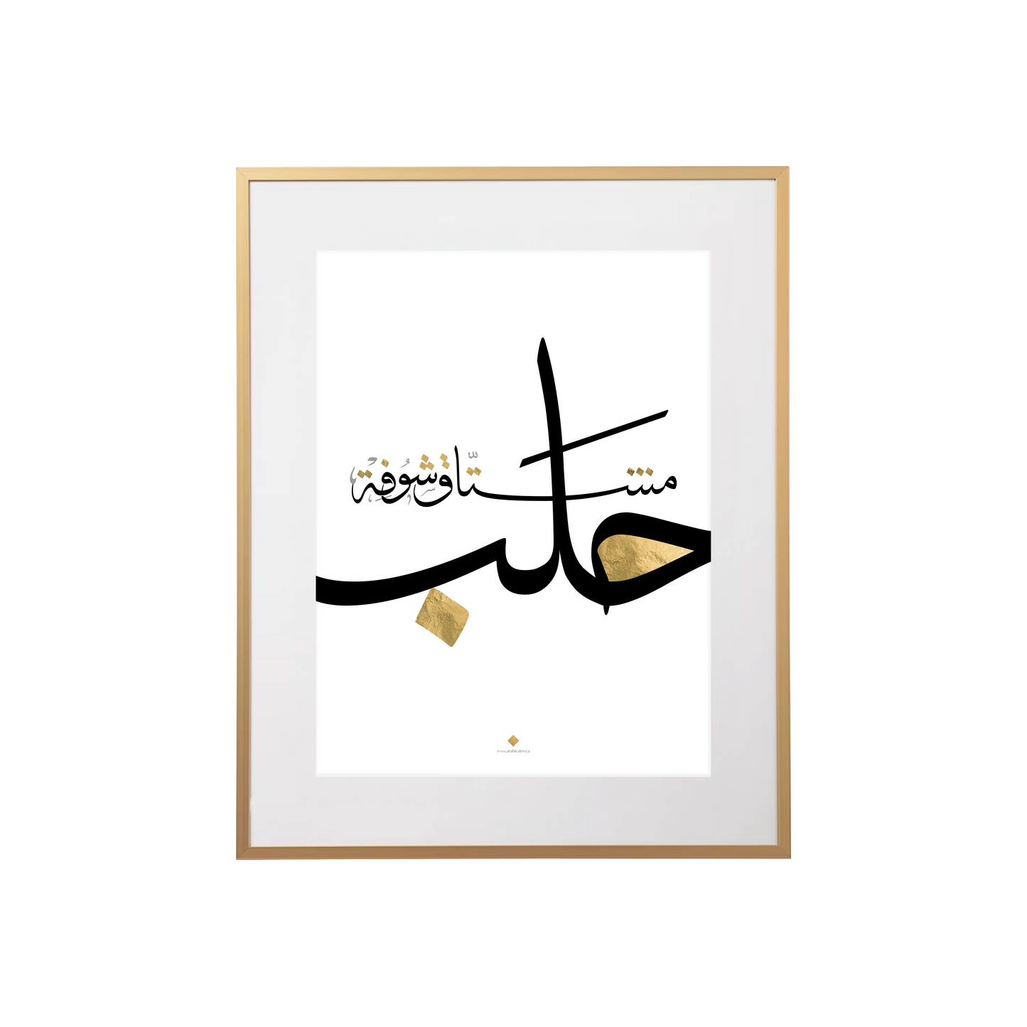Missing Aleppo . مشتاق شوفة حلب